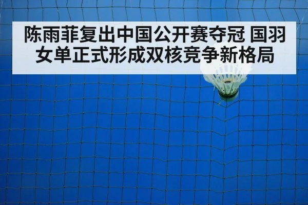 badminton training court