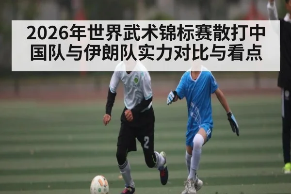 2026年世界武术锦标赛散打中国队与伊朗队实力对比与看点 | kaiyun